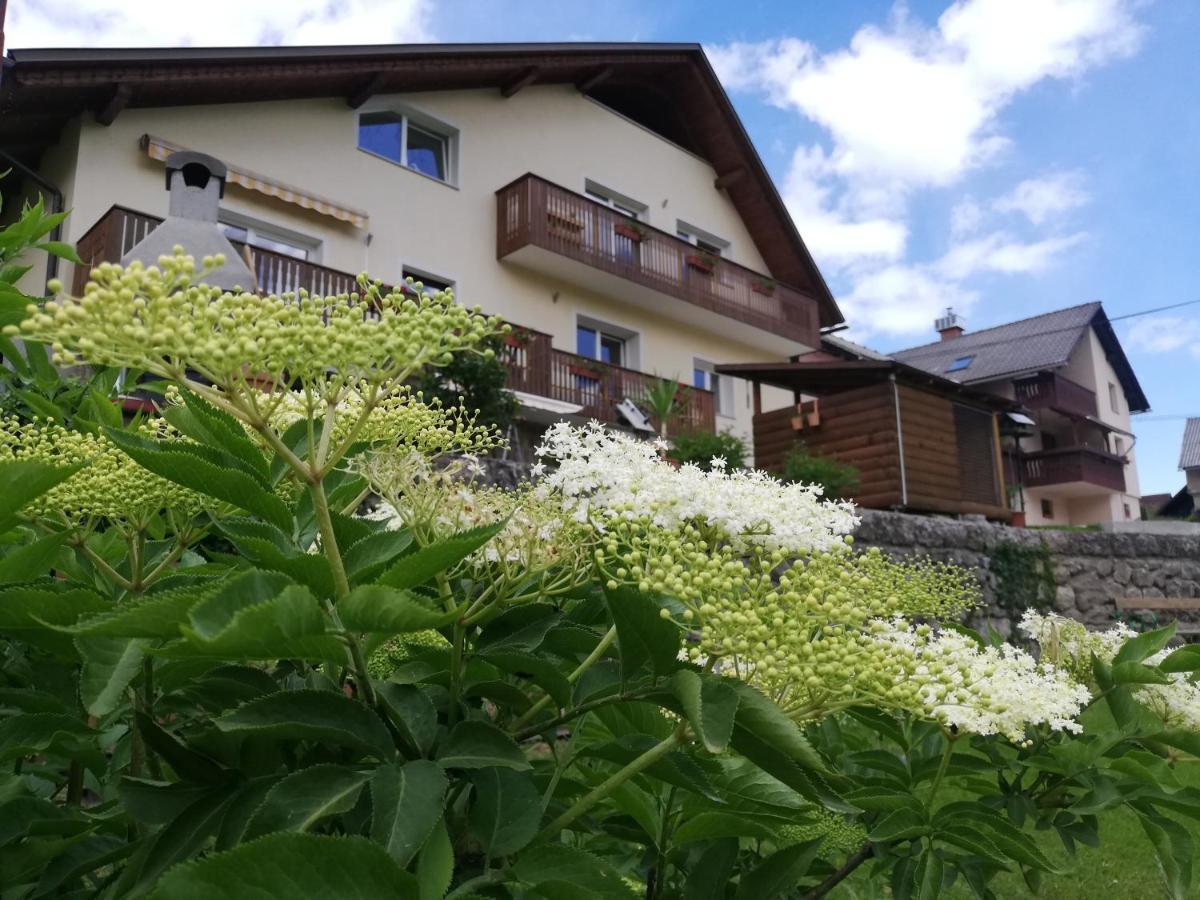 Apartments Mas Довє Екстер'єр фото